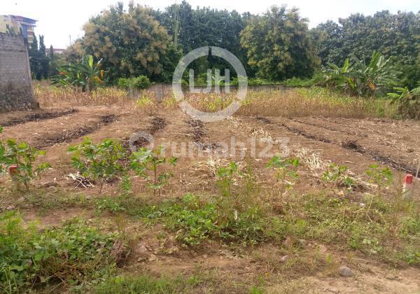 Kavling di Daerah Sendangmulyo 1