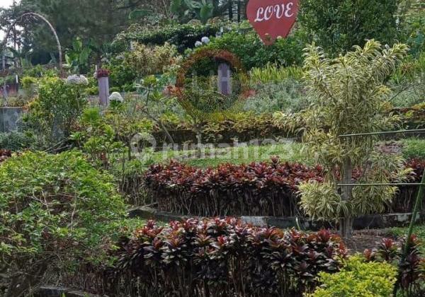 Villa di daerah Gedongsongo 2