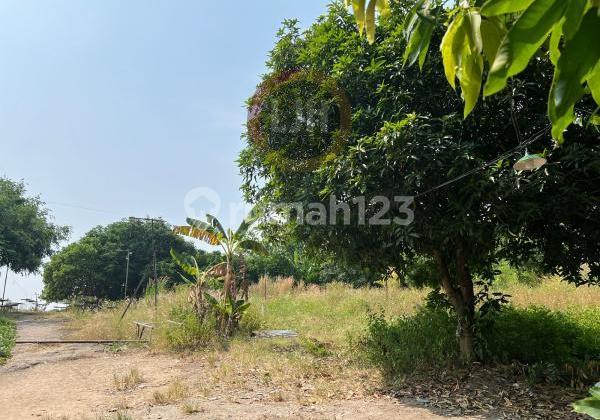 Kavling di Panembahan Senopati 2