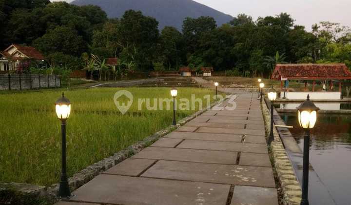 For Sale Large 1.2 Ha Land Price Far Below Market in Kuningan, West Java