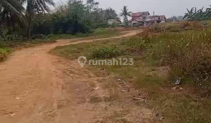 Kavling Industri Di Serang, Banten Dekat Exit Tol Ciujung 2