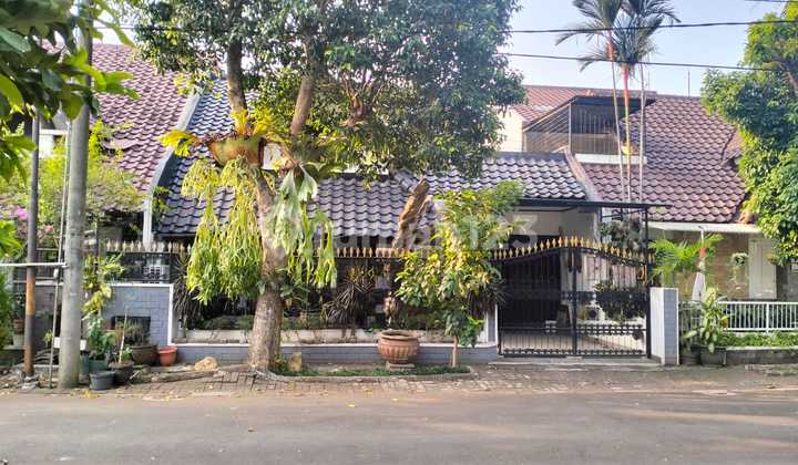 Dijual Rumah 1 Lantai SHM Bagus, Siap Huni di Anggrek Loka Bsd Dijual Rumah 1 Lantai SHM Bagus, Siap Huni di Anggrek Loka Bsd