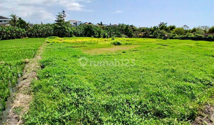 Prime Land For Sale, Umalas Area 2