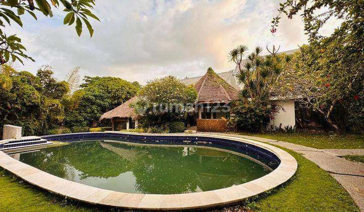 Premium Land For Rent, Canggu Area 2