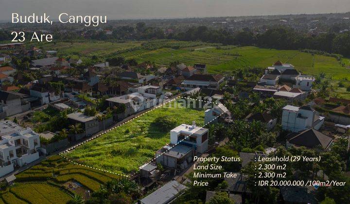 Prime Land For Lease In Buduk, Canggu Area 1