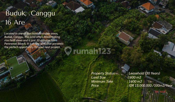 Scenic Land For Lease In Buduk, Canggu  1