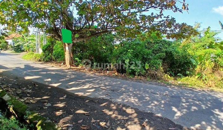 Strategically located land for rent, Tiying Tutul area 1