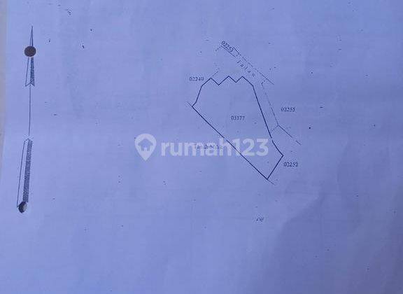 Land For Sale In Batu Bolong, Canggu Area 1