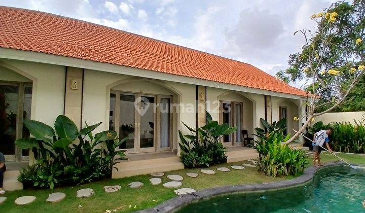 Brand New Guest House For Rent, Kerobokan Area 1