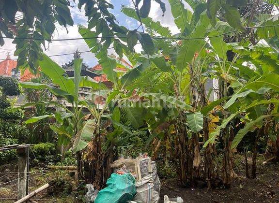 Land With Prime Location For Rent, Tiying Tutul Area 2