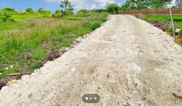 2 Are Freehold Land For Sale In Tibubeneng Canggu 2 Are Freehold Land For Sale In Tibubeneng Canggu
