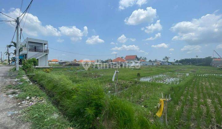 Stunning Land For Rent, Seseh Area 1