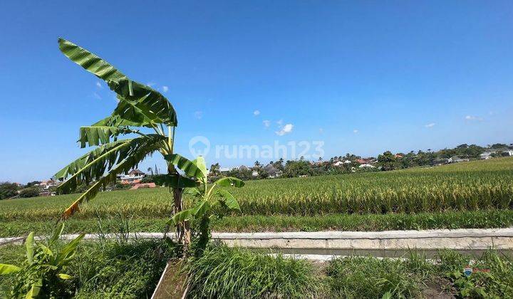 Prime Land For Rent, Pantai Lima Area 1