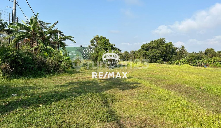 Land 5.5 Are For Leasehold 28 Years In Nyanyi, Tabanan