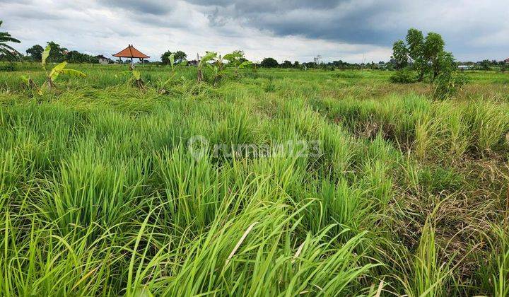 Tanah Kavling Di Jual, Denpasar Area 2