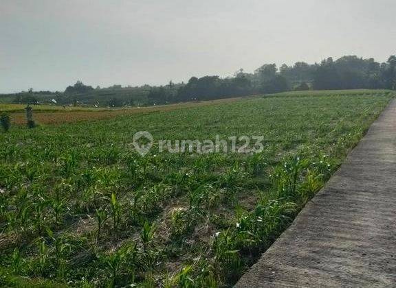 Land For Sale, Tabanan Area 1