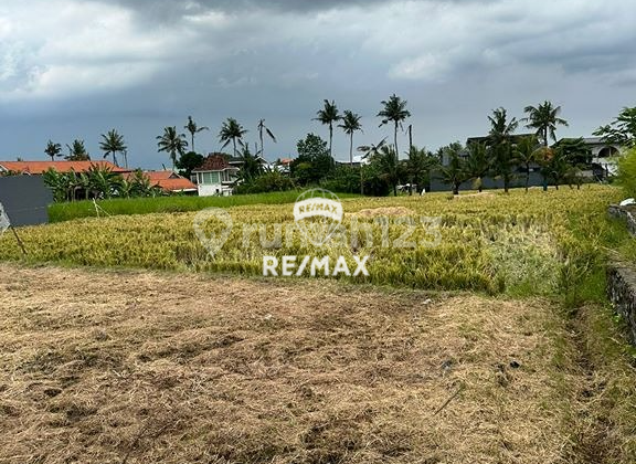 Land 5 Are For Leasehold 30 Years In Seseh Strategic And Peaceful Location