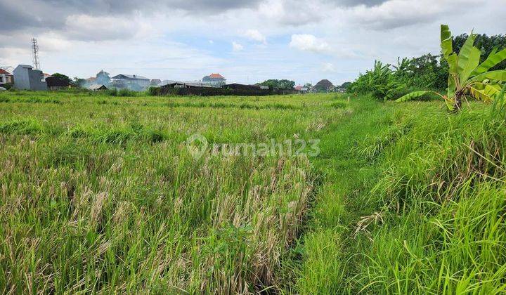 Tanah Kavling Di Jual, Denpasar Area 1