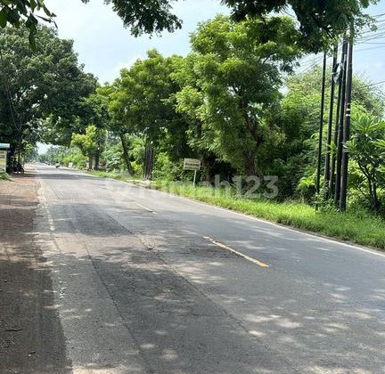 Land For Sale 20 Are In Pemuteran, Buleleng Land For Sale 20 Are In Pemuteran, Buleleng