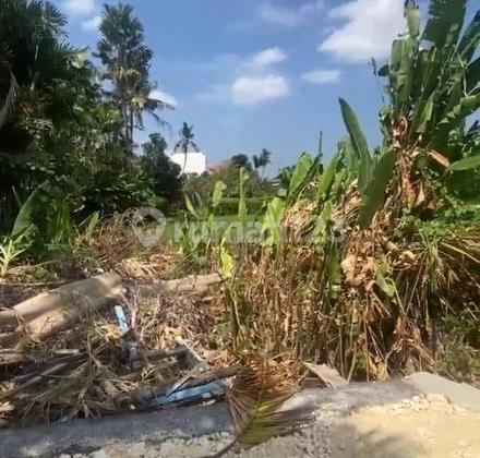 Land 9.96 Are For Leasehold 25 Years In Babakan, Canggu