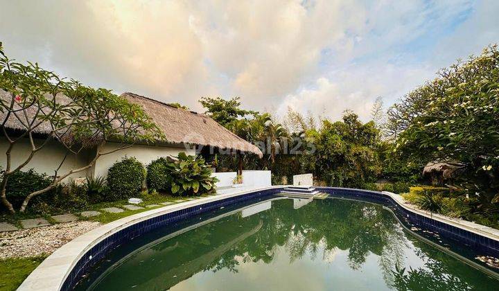 Premium Land For Rent, Canggu Area 1