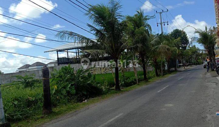 Prime Land For Rent, Canggu Area 1