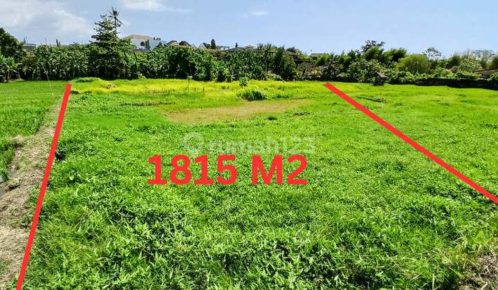 Prime Land For Sale, Umalas Area 1