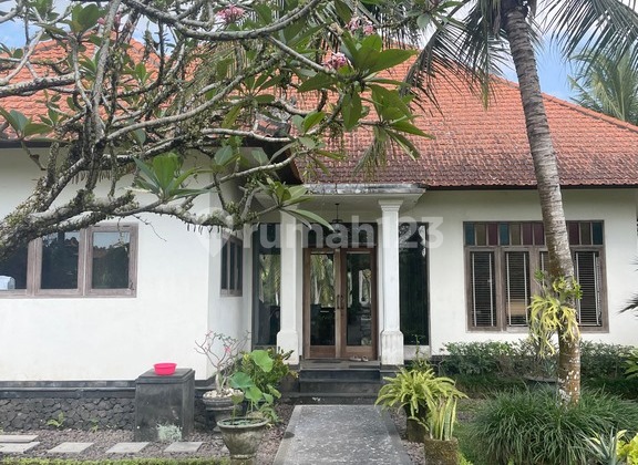 Resort Villa For Sale In Ubud