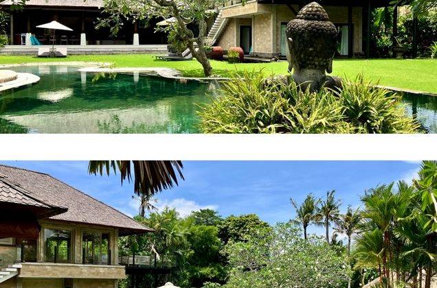 Luxury Villa for Sale/Rent, Canggu Area 1