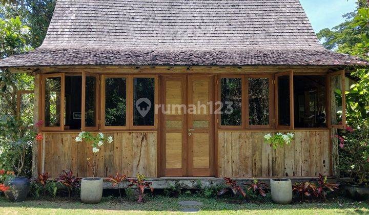 Joglo Style Villa For Rent, Tabanan Area 1