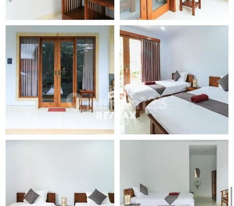 Guest House Available For Monthly Rent In Canggu 2