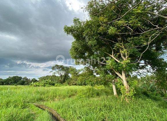 Land For Sale, Kaba Kaba Area 1