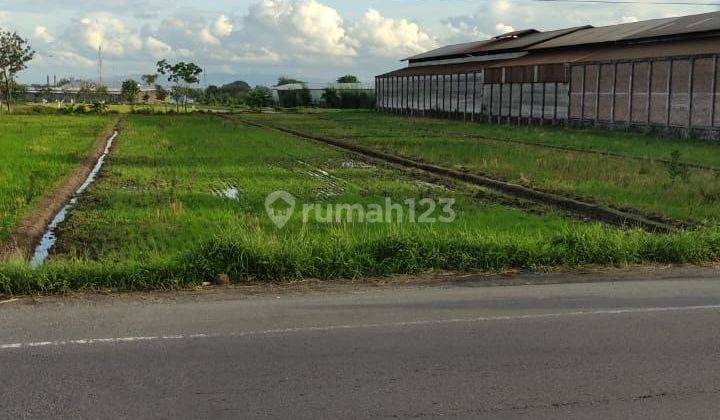 Tanah Strategis Pinggir Jl Provinsi di Klepu, Ceper 2