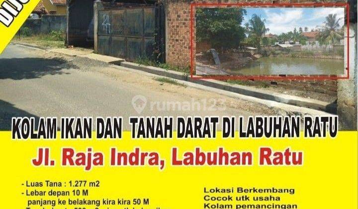 Dijual Tanah Dan Kolam Ikan Di Labuhan Ratu 1