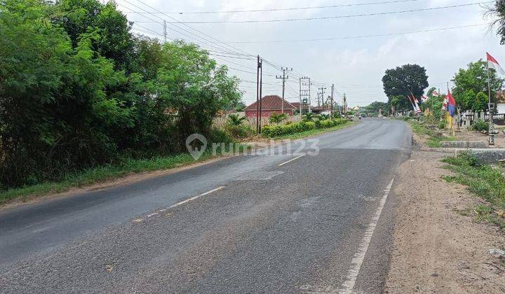 Tanah Jual Di Lampung Tengah 1