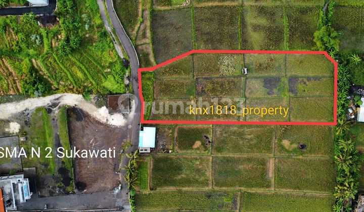 Dikontrakan Tanah 26 Are Di Depan Sma Negeri 2 Sukawati 2