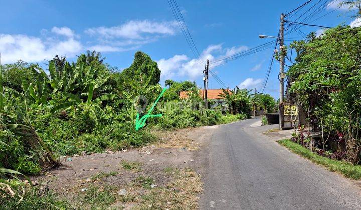 View Sawah 4,4 Are Celuk Sukawati, 20 Menit Ke Ubud 2