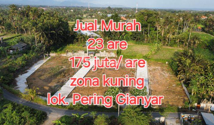 Murah, 23 Are Lok.tojan Pering Gianyar 2