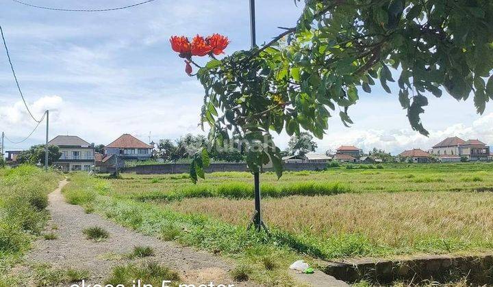 Land with views of rice fields and the Ubud river 2