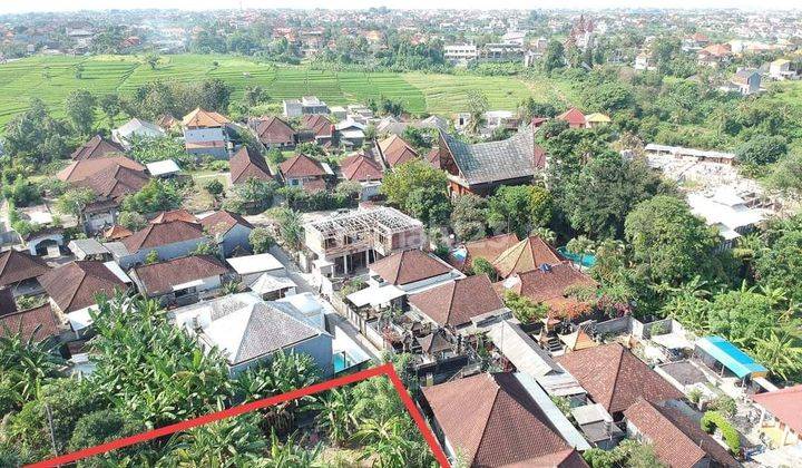 6 acres of Canggu 2