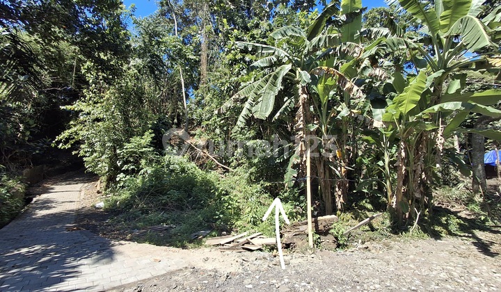 For Rent Land View.jungle.and River In.singapadu For Rent Land View.jungle.and River In.singapadu