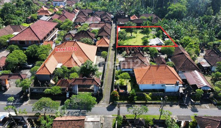 9.3 Land Near Balizoo Singapadu Gianyar