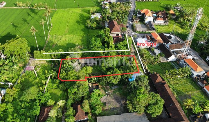 Land for Rent 15 Are Lodtunduh Ubud Bali