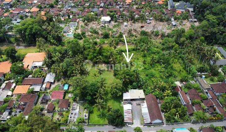 View Sawah, Sungai Dan Hutan UbuD 2