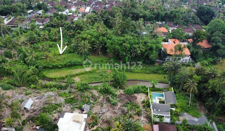 View Sawah, Sungai Dan Hutan UbuD 1