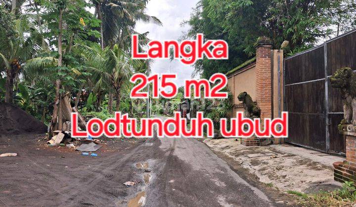 Langka 2 Are Lodtunduh Ubud 1