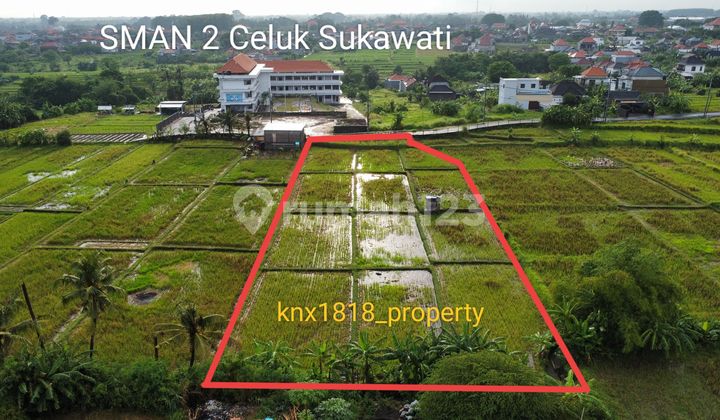 Dikontrakan Tanah 26 Are Di Depan Sma Negeri 2 Sukawati 1