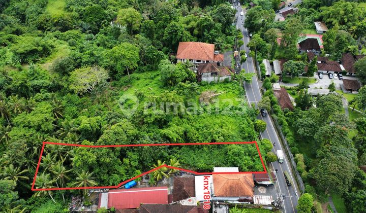 15 Are Pinggir Jalan Raya Goa Gajah Ubud 15 Are Pinggir Jalan Raya Goa Gajah Ubud
