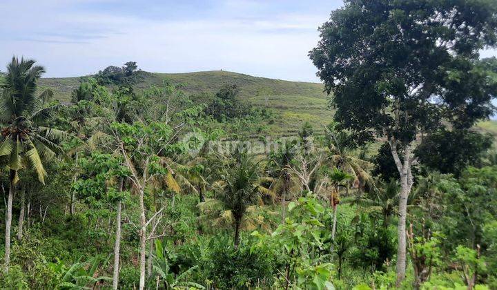 55 Juta Nusa Penida, Bukit Teletubbies  1