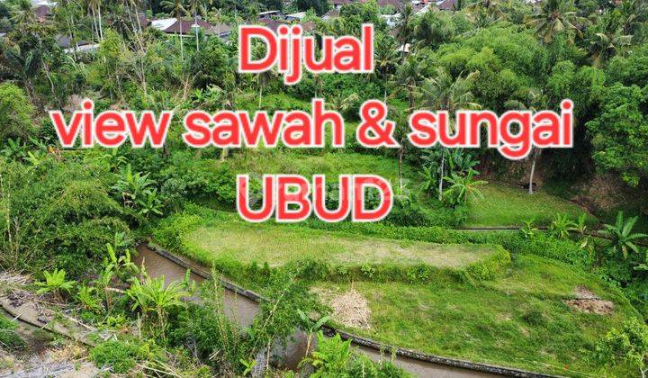 View Sawah, Sungai Dan Hutan UbuD 1